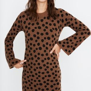 Madewell Leopard Dot Sweater-Dress